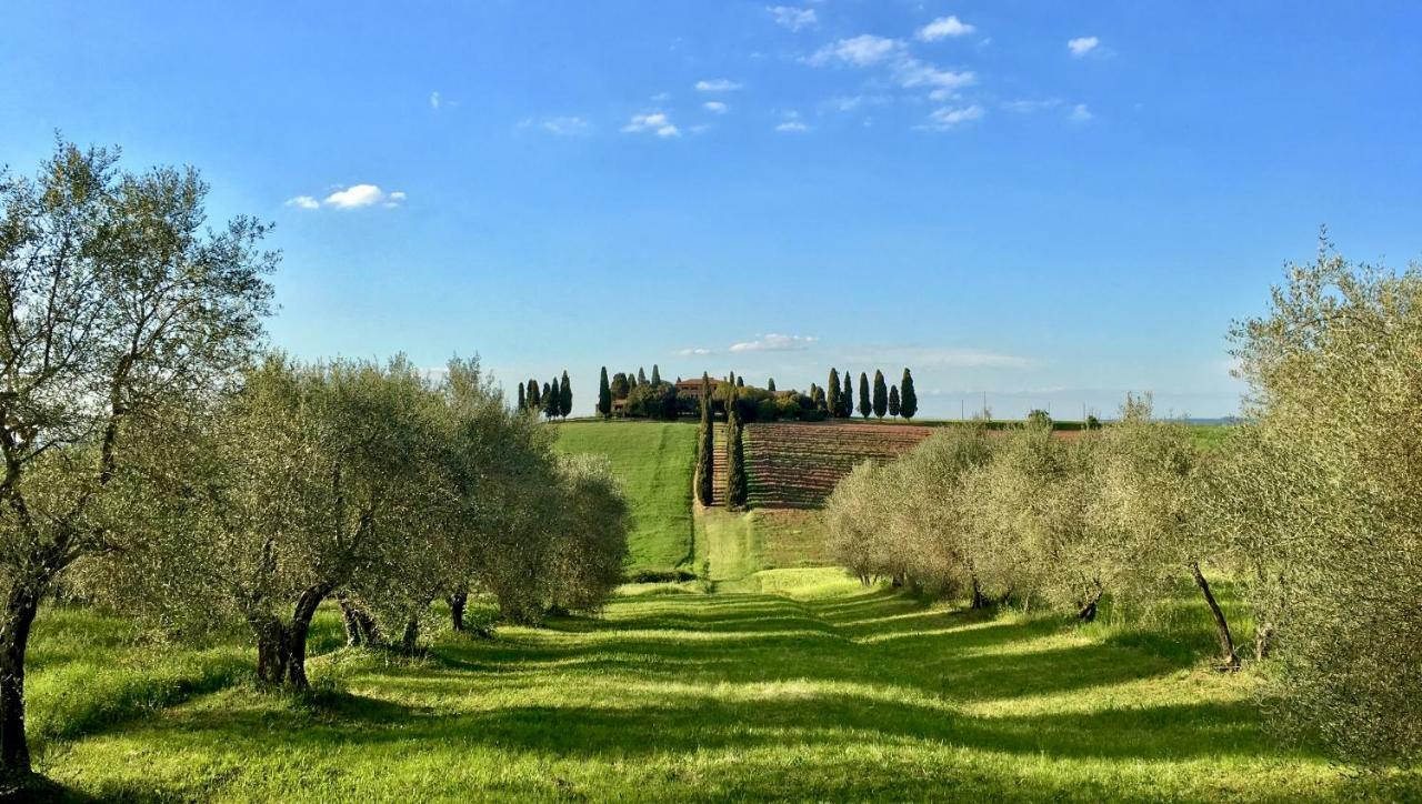 Apartmán Residenza D'Epoca La Rosa Pienza Exteriér fotografie