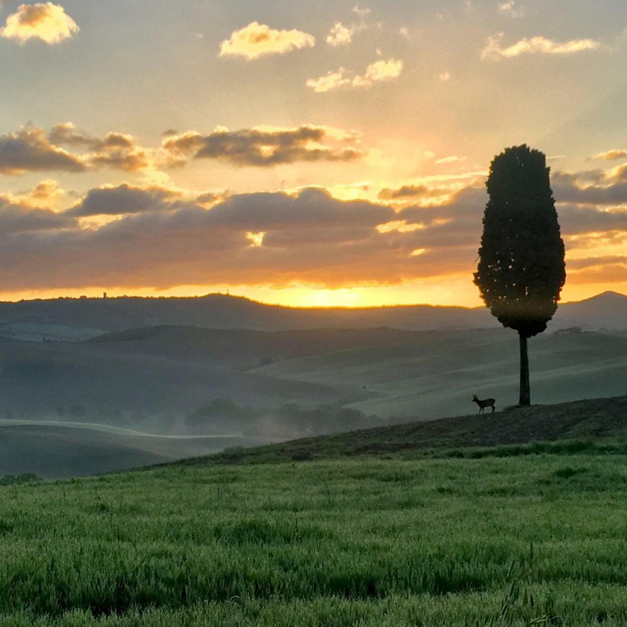 Apartmán Residenza D'Epoca La Rosa Pienza Exteriér fotografie