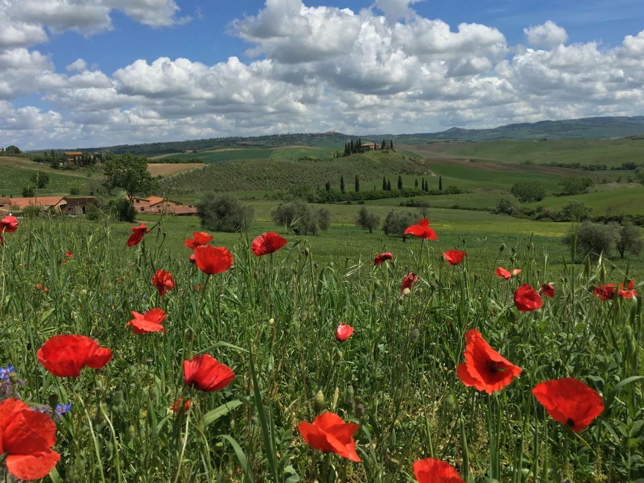 Apartmán Residenza D'Epoca La Rosa Pienza Exteriér fotografie